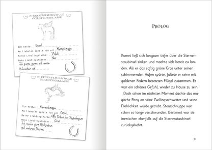 Gezeigt wird eine Innen- oder Zusatzansicht von „Zauberponys – Magie auf vier Hufen“.
