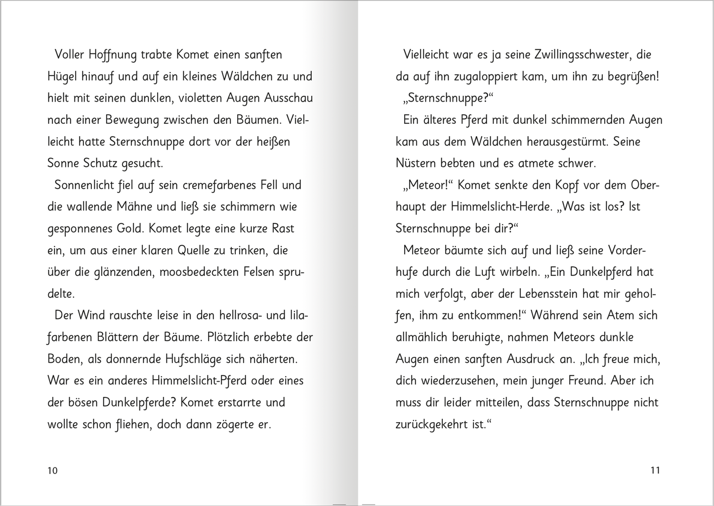 Gezeigt wird eine Innen- oder Zusatzansicht von „Zauberponys – Magie auf vier Hufen“.