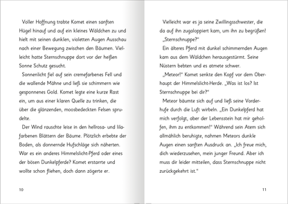 Gezeigt wird eine Innen- oder Zusatzansicht von „Zauberponys – Magie auf vier Hufen“.