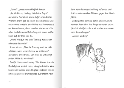 Gezeigt wird eine Innen- oder Zusatzansicht von „Zauberponys – Magie auf vier Hufen“.