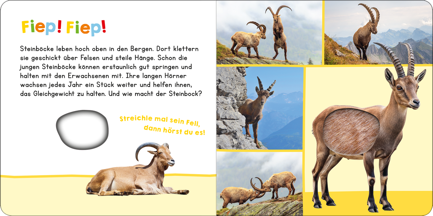 Gezeigt wird eine Innen- oder Zusatzansicht von „Hör mal rein, wer kann das sein? In den Bergen“.