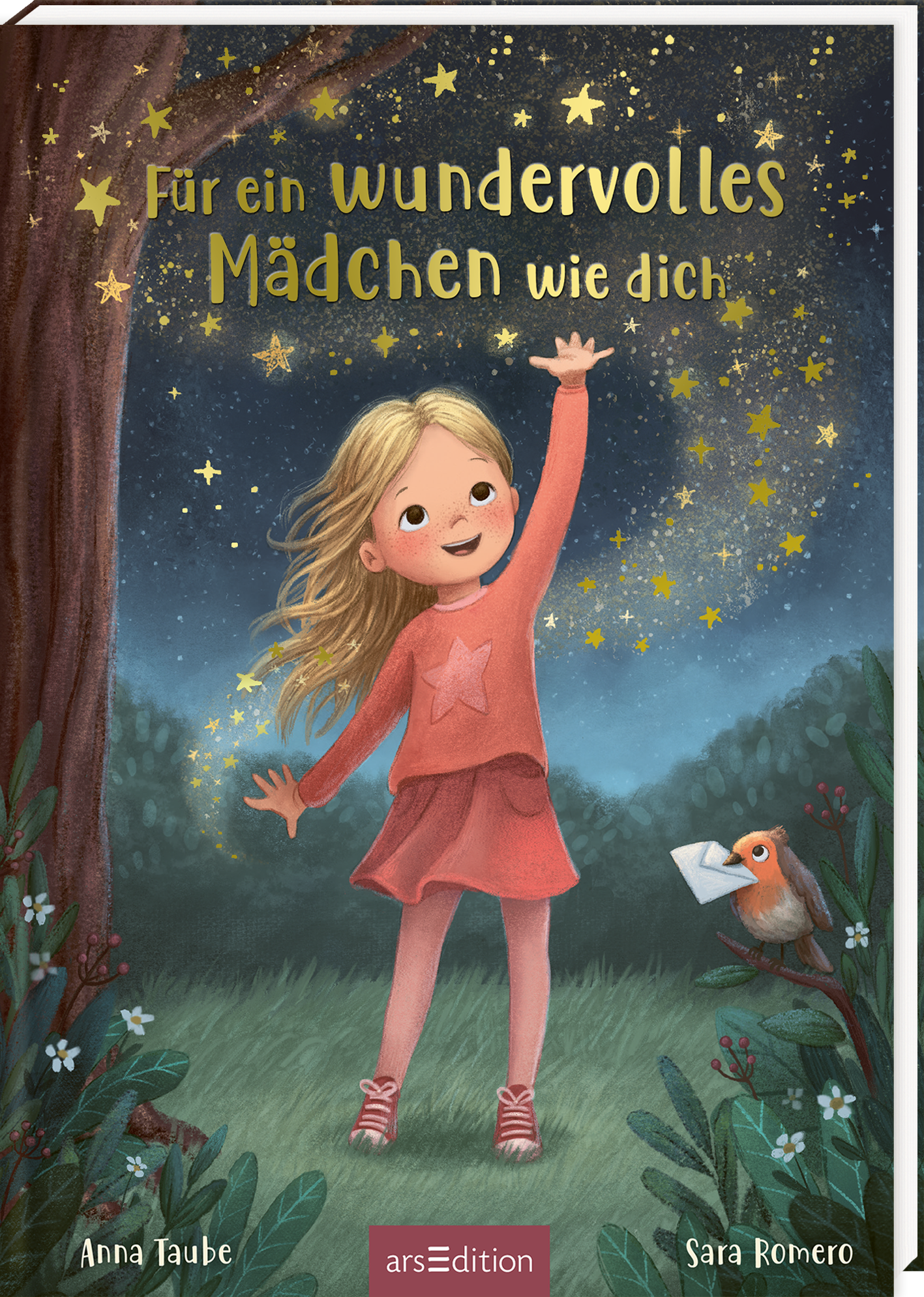 Auf dem Cover steht oben in einer goldenen Schrift „Für ein wundervolles Mädchen wie dich“ vor einem sternenfunkelnden Nachthimmel. Im Zentrum ist ein junges Mädchen mit blonden Haaren in rosafarbenem Rock und Oberteil mit Sternmotiv, das mit einem Arm nach oben Richtung Himmel greift. Links steht ein Baum, rechts befindet sich ein Rotkehlchen mit einem Brief im Schnabel. Im Vordergrund sind eine grüne Wiese und Blumen. Am unteren Rand stehen links und rechts die Namen der Urheberinnern...