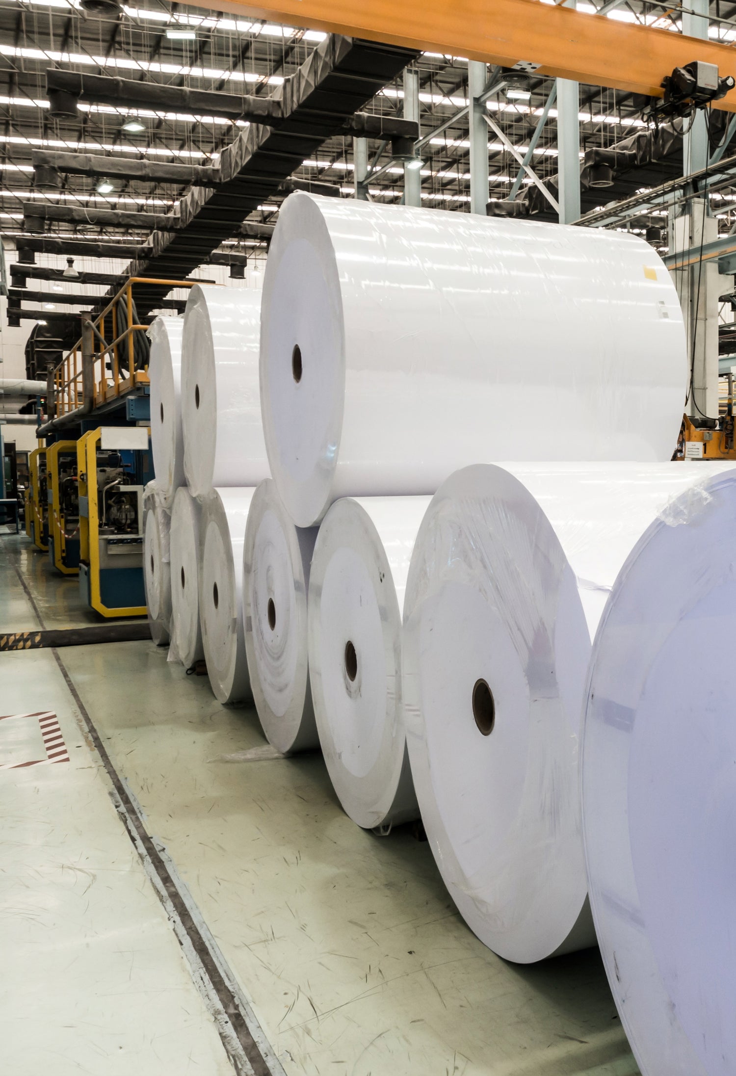 Es werden große weiße Papierrollen gezeigt, die in einer Produktionshalle in mehreren Reihen nebeneinander stehen. Im Hintergrund sind Teile von Maschinen, Stahlträger, Leitungen und Deckenbeleuchtung zu sehen. 