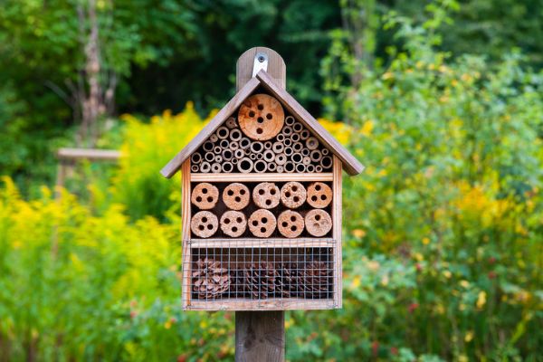 Ein Insektenhotel aus Holz mit verschiedenen Fächern, gefüllt mit Bambusrohren, Holzscheiben und Tannenzapfen, steht inmitten eines blühenden Gartens mit gelben und grünen Pflanzen im Hintergrund.