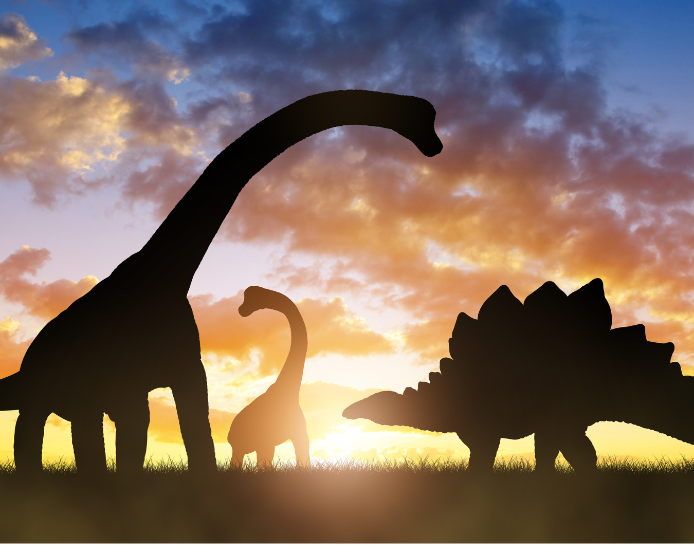  Silhouetten von Dinosauriern vor einem farbenfrohen Sonnenuntergang. Links ist ein großer Langhals-Dinosaurier (Brachiosaurus) zu sehen, daneben ein kleinerer Langhals-Dinosaurier und rechts ein Dinosaurier mit einer Reihe von stachelartigen Platten auf seinem Rücken (Stegosaurus). Der Himmel ist in warmen Gelb-, Orange- und Blautönen gefärbt, während die Dinosaurier auf einer Wiese stehen.