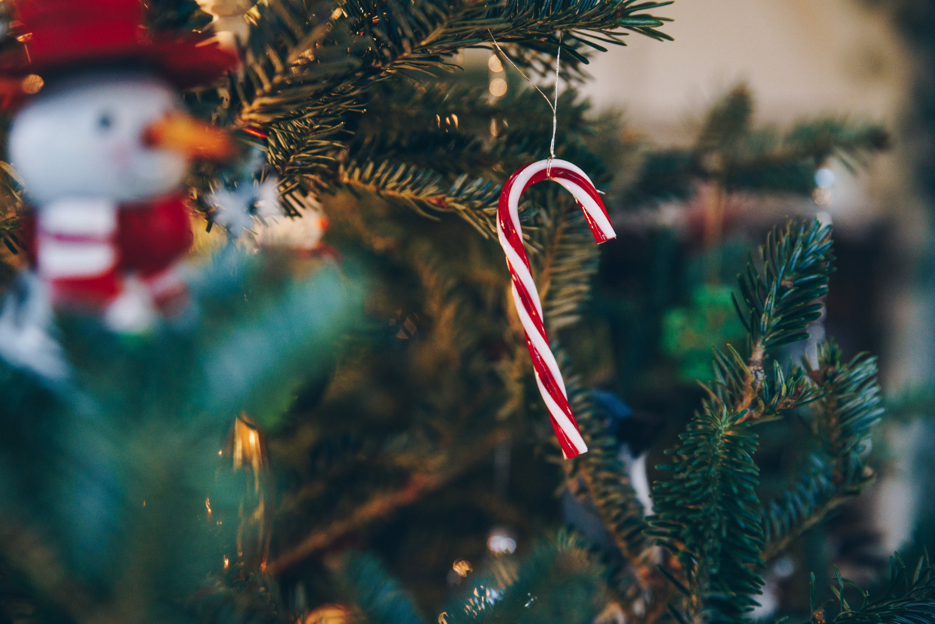 Nahaufnahme eines geschmückten Weihnachtsbaums mit einem rot-weiß gestreiften Zuckerstangenanhänger im Vordergrund. Im Hintergrund ist unscharf ein Schneemann-Anhänger erkennbar.