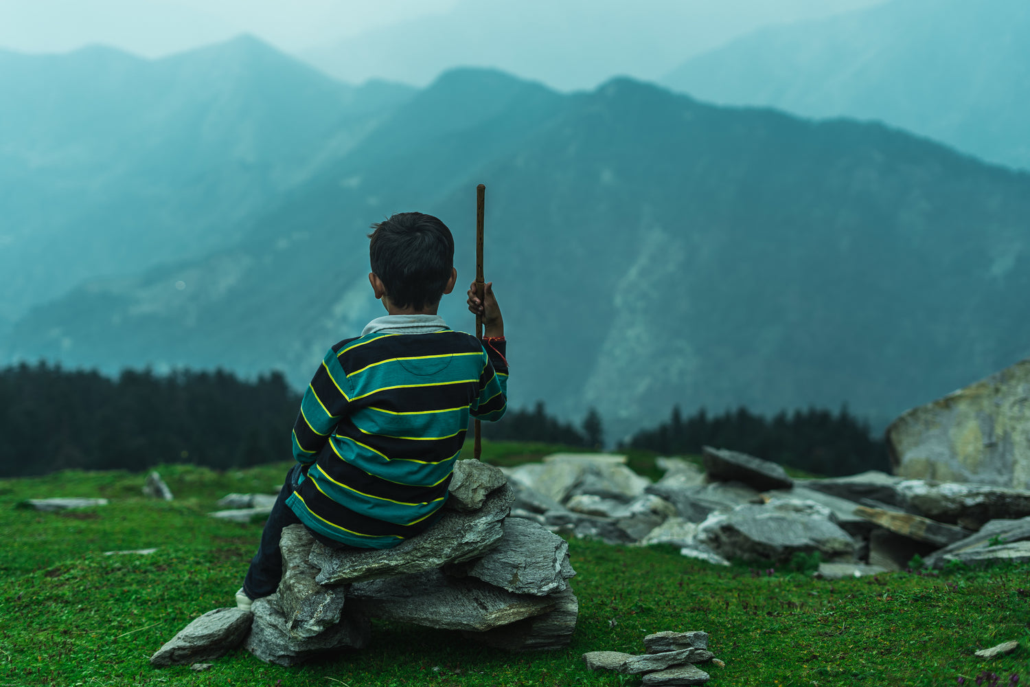 Ein Junge sitzt mit dem Rücken zur Kamera auf einem Stapel Steine in einer grünen Berglandschaft. Er trägt einen gestreiften Pullover und hält einen Stock in der rechten Hand. Im Hintergrund sind neblige Berge und ein Wald zu sehen.