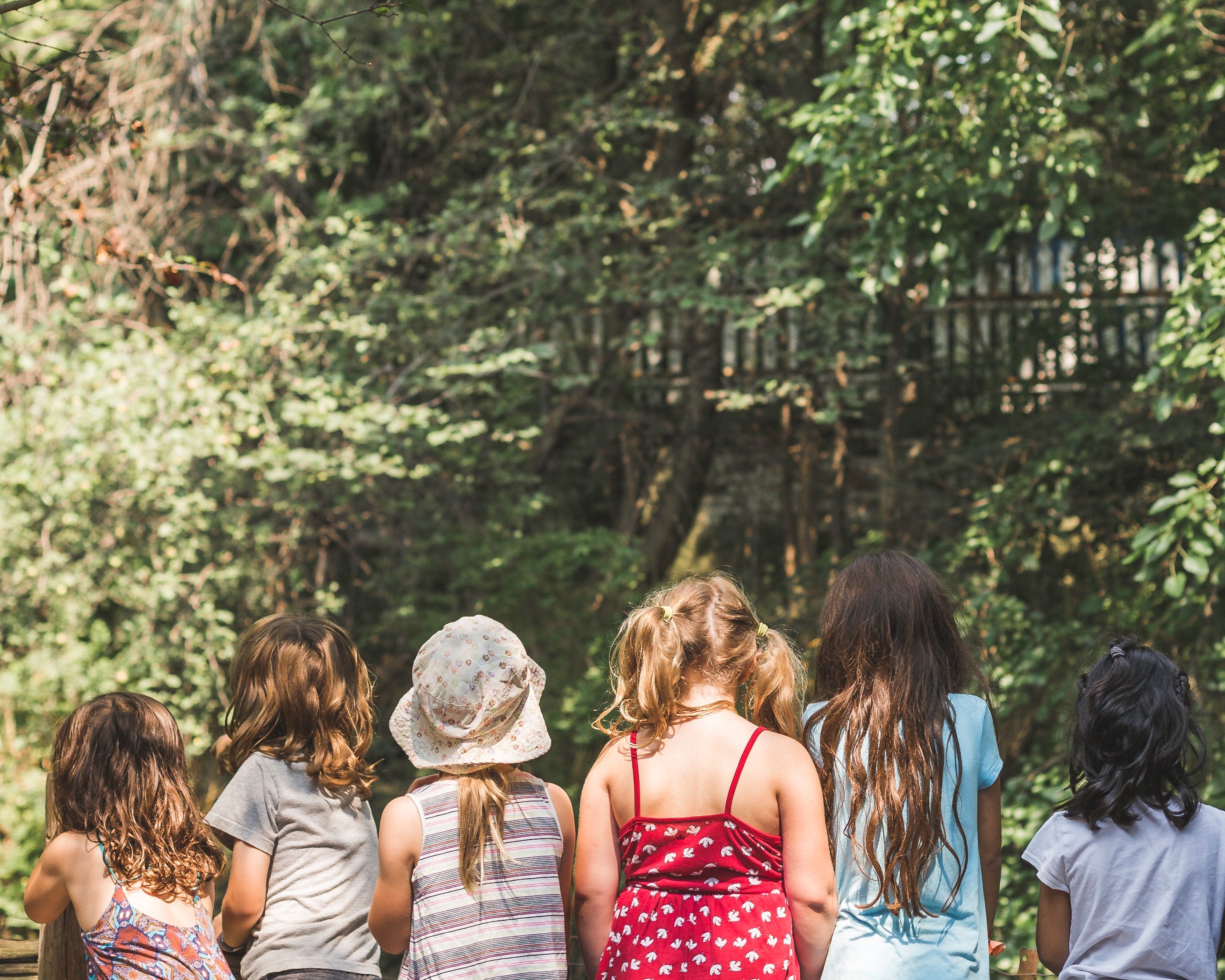 Eine Gruppe von Kindern steht mit dem Rücken zur Kamera in einem von Bäumen und Sträuchern umgebenen Wald. Die Kinder tragen sommerliche Kleidung, darunter bunte Tops, Kleider und ein Hut. Die Umgebung ist ruhig und grün, mit Sonnenlicht, das durch die Blätter scheint.