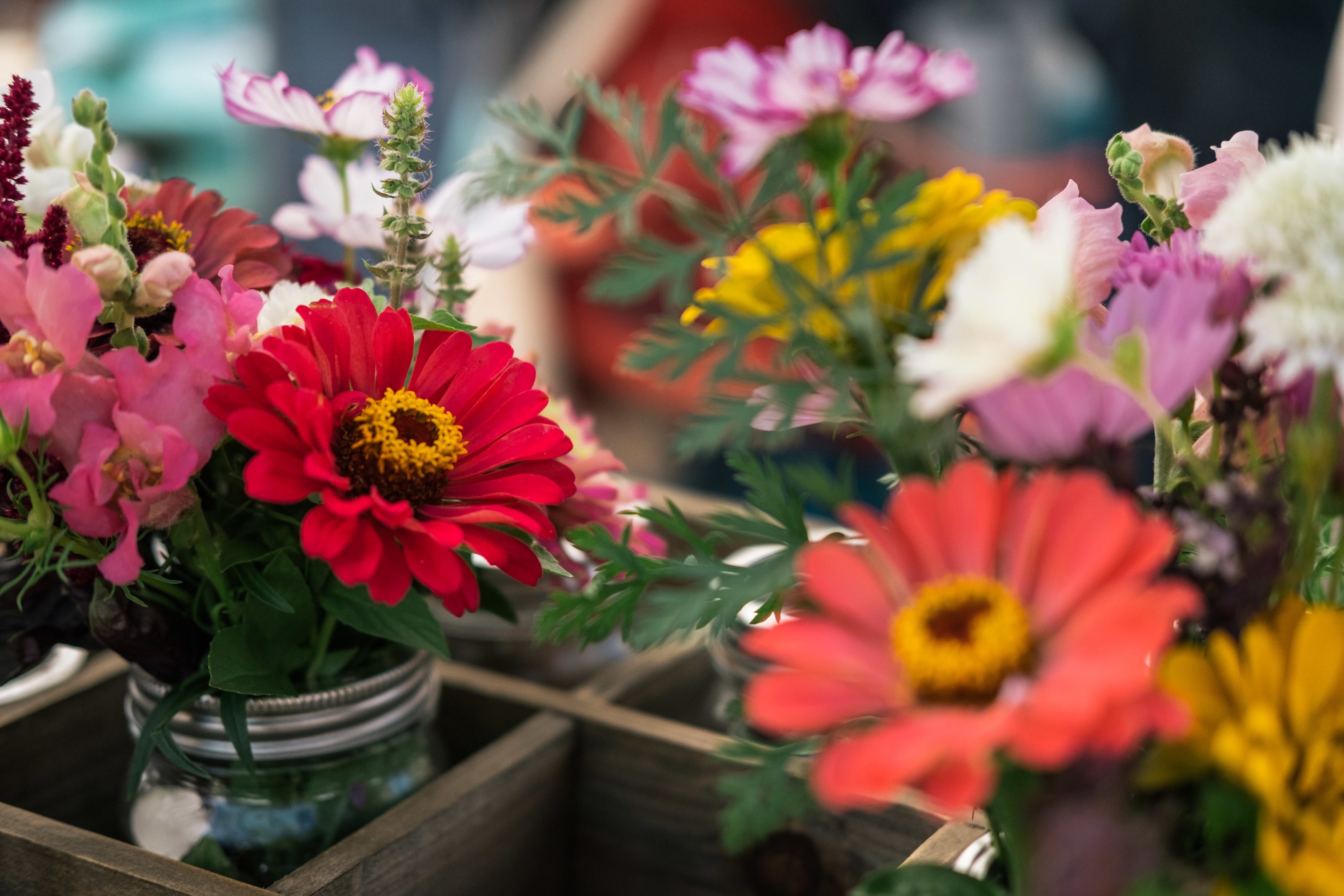 Nahaufnahme von bunten Blumensträußen in kleinen Gläsern, die in einer Holzkiste arrangiert sind. Im Vordergrund leuchten rote und gelbe Blüten, während im Hintergrund rosa, lila und gelbe Blumen zu sehen sind. Die Szene vermittelt eine lebendige und natürliche Atmosphäre.