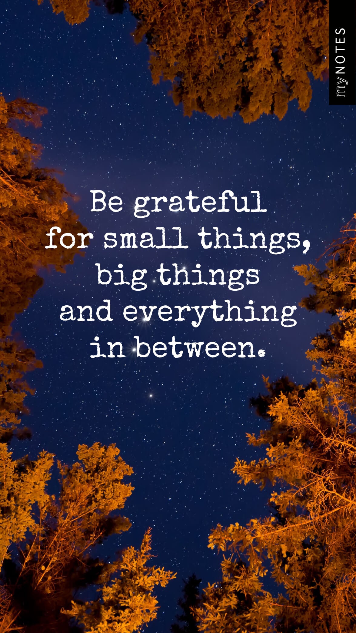 Nachthimmel mit funkelnden Sternen, umrahmt von orangefarben beleuchteten Baumwipfeln. In der Mitte steht der Text: 'Be grateful for small things, big things and everything in between.'