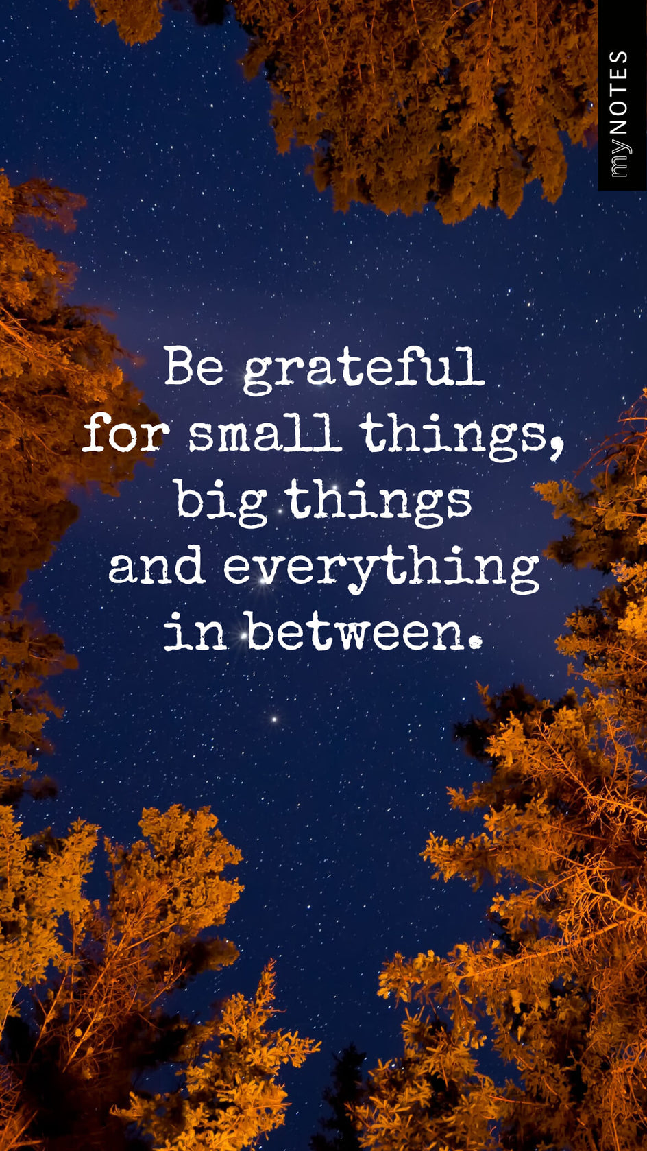 Nachthimmel mit funkelnden Sternen, umrahmt von orangefarben beleuchteten Baumwipfeln. In der Mitte steht der Text: 'Be grateful for small things, big things and everything in between.'