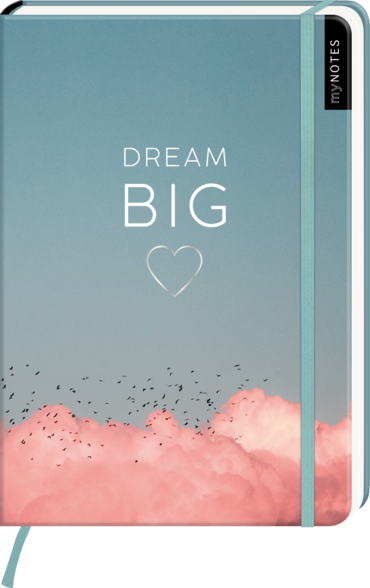 myNOTES Notizbuch A5: Dream Big