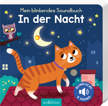 Mein blinkendes Soundbuch – In der Nacht