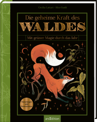 Die geheime Kraft des Waldes